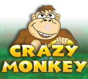 Crazy Monkey