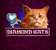 Diamond cats