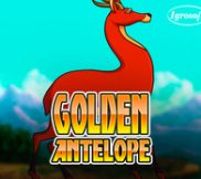 Golden Antelope