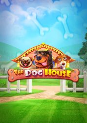 Dog House